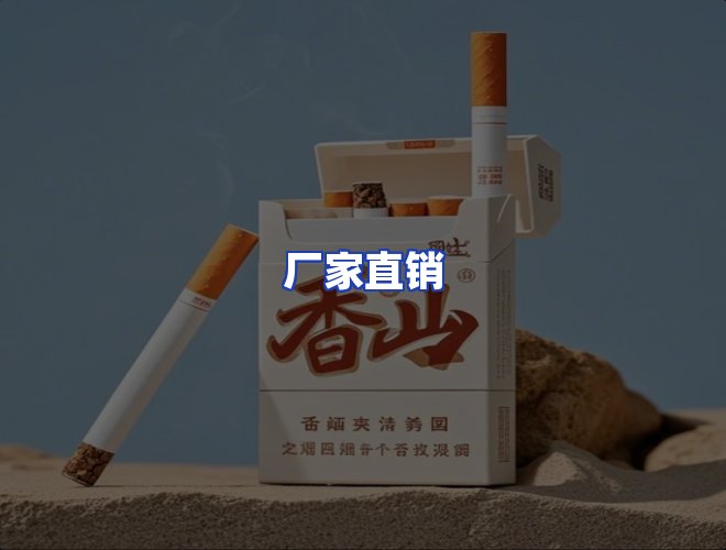 专业团队